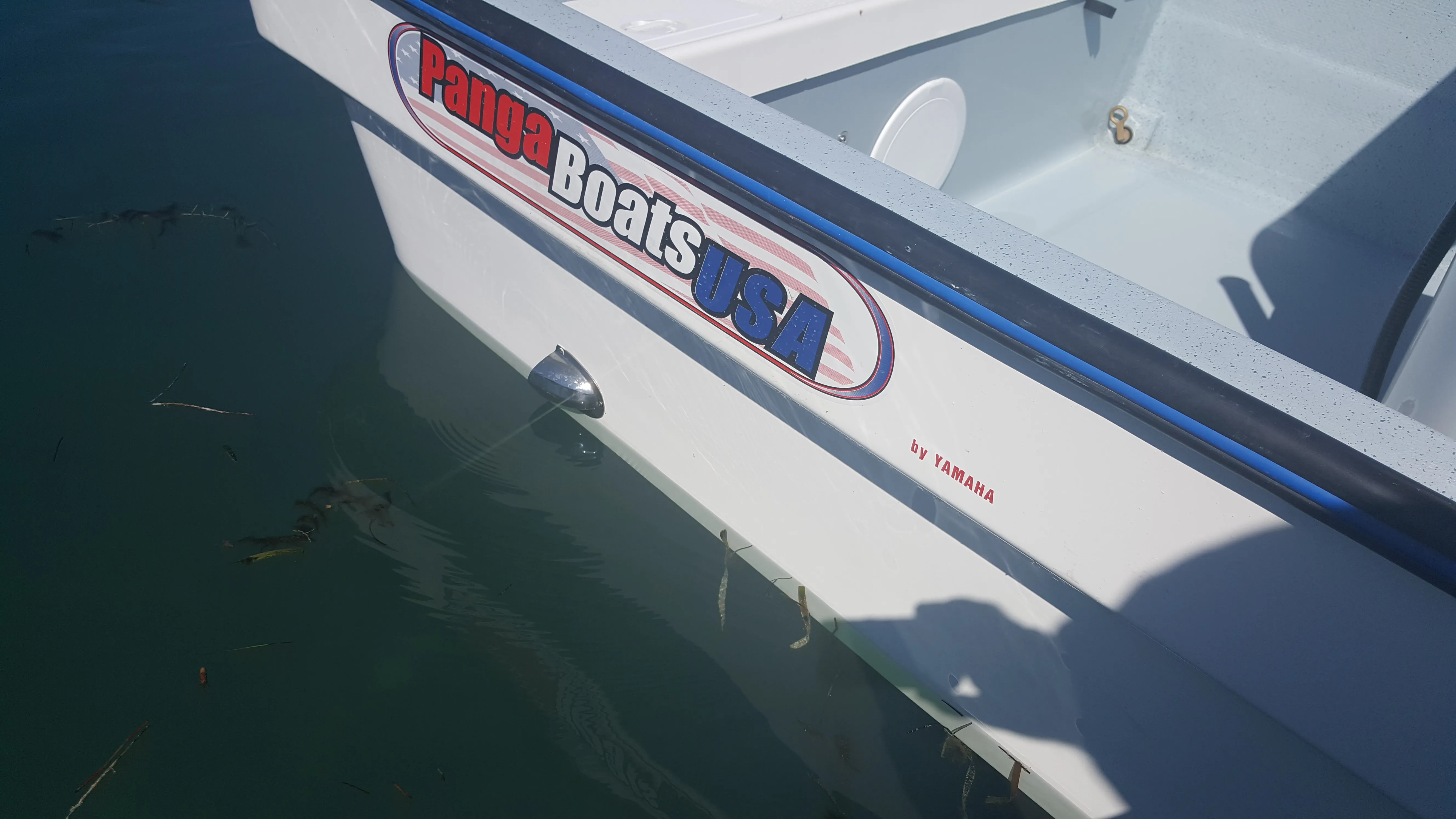 Panga W-25 offshore fishing